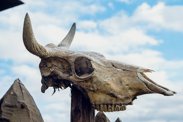 Similar image 8169641