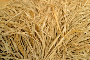 Similar image 8169669