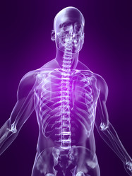 Similar image 8169674