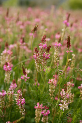 Similar image 8169679