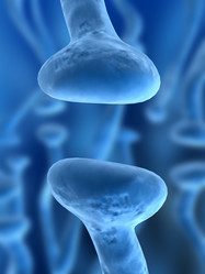 Similar image 8169731