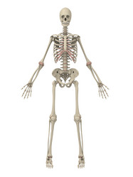 Similar image 8169743