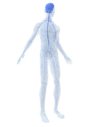 Similar image 8169868