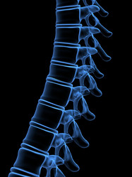 Similar image 8169889