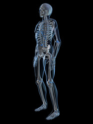 Similar image 8169919