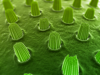 Similar image 8169934