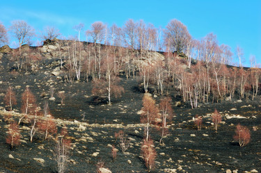 Similar image 8169944