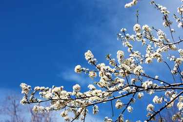 Similar image 8169990