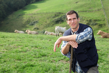 Similar image 8169993