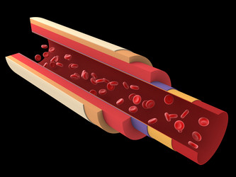 Similar image 8170023