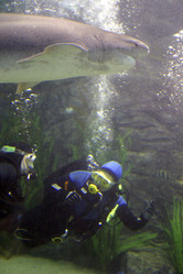 Similar image 8170032