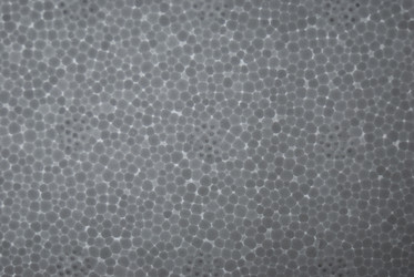 Similar image 8170033