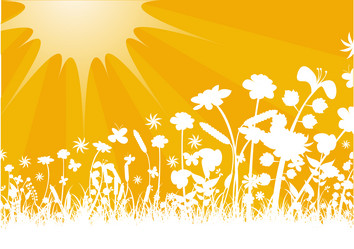 Similar image 8170071