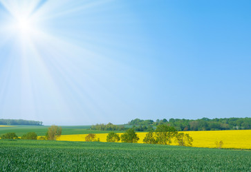 Similar image 8170115