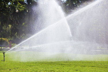 Similar image 8170131