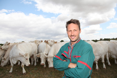 Similar image 8170150