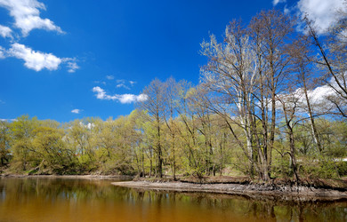 Similar image 8170158