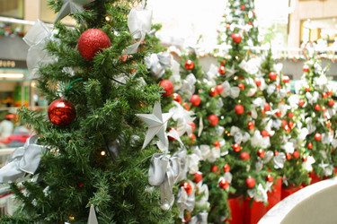 Similar image 8170166