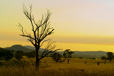 Similar image 8170204