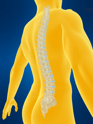 Similar image 8170223