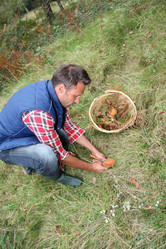 Similar image 8170265