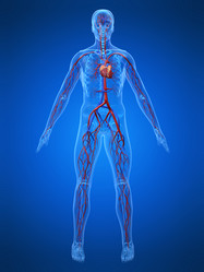 Similar image 8170275