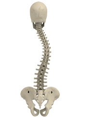 Similar image 8170282