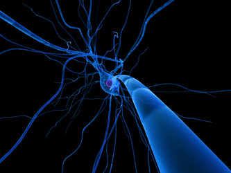 Similar image 8170294