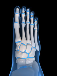 Similar image 8170303