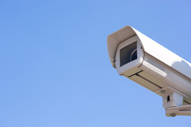 Similar image 8170338