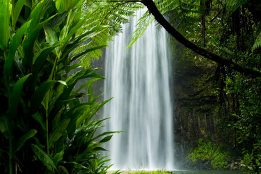 Similar image 8170352