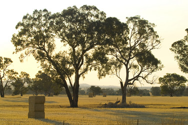 Similar image 8170371