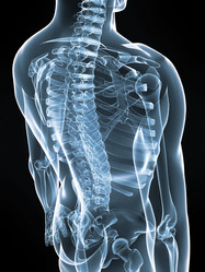 Similar image 8170406