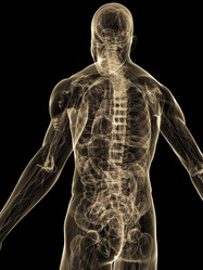 Similar image 8170422