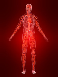 Similar image 8170440