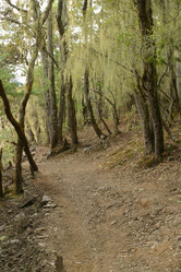 Similar image 8170490