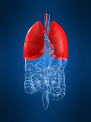 Similar image 8170493