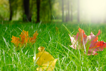 Similar image 8170707