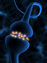 Similar image 8170732