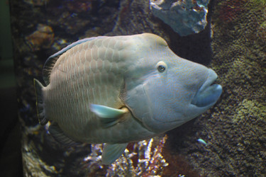 Similar image 8170741