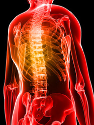 Similar image 8170819