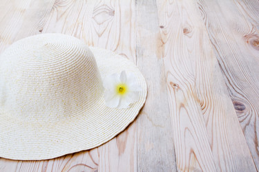 Similar image 8170821