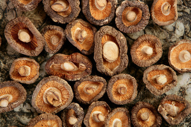 Similar image 8170823