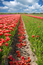 Similar image 8170824