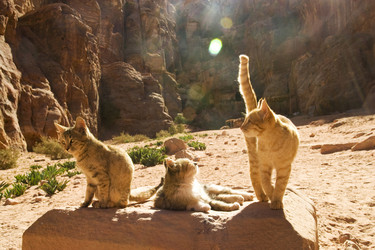 Similar image 8170833