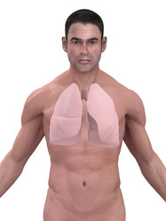 Similar image 8170942