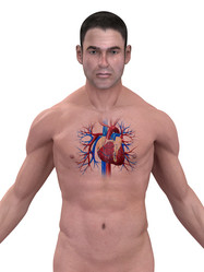 Similar image 8170950