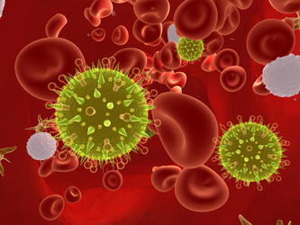 Similar image 8170995