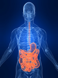 Similar image 8170997