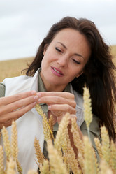 Similar image 8170999